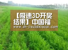种植基地四