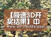 种植基地七