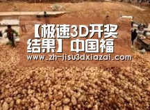 种植基地二