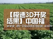 种植基地五