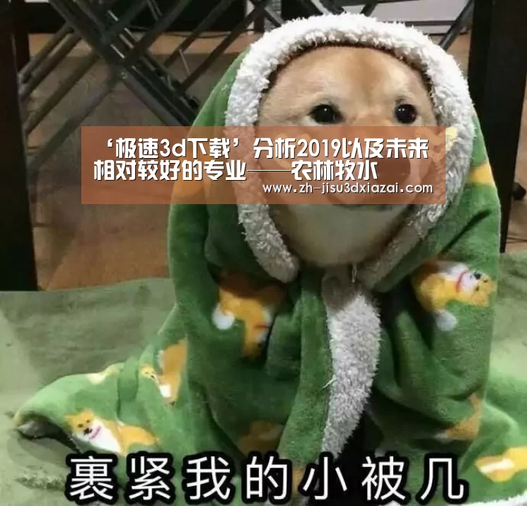 极速3d下载
