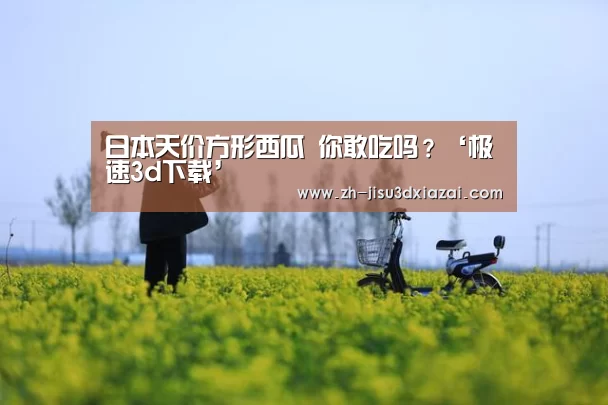 极速3d下载