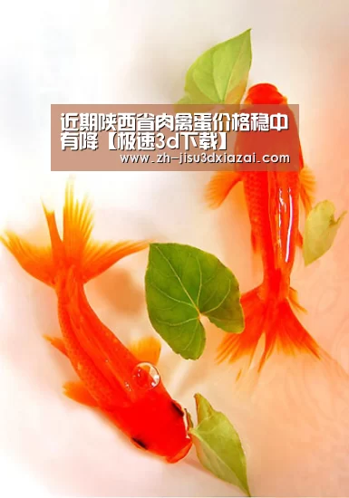 极速3d下载