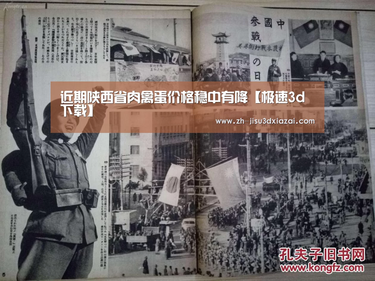 极速3d下载