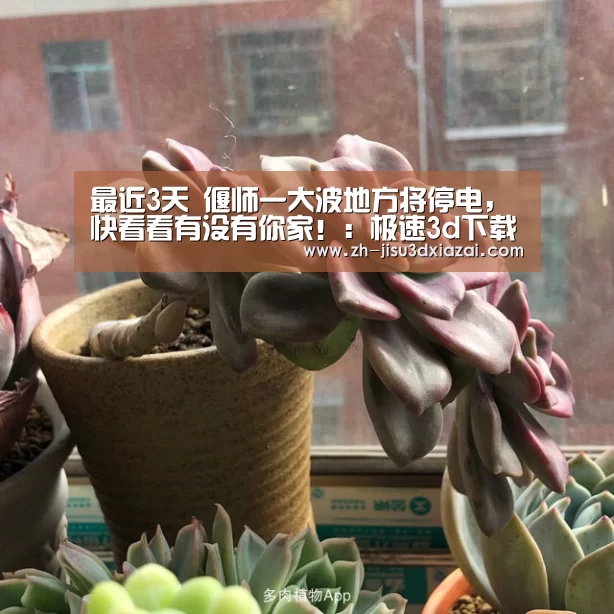极速3d下载