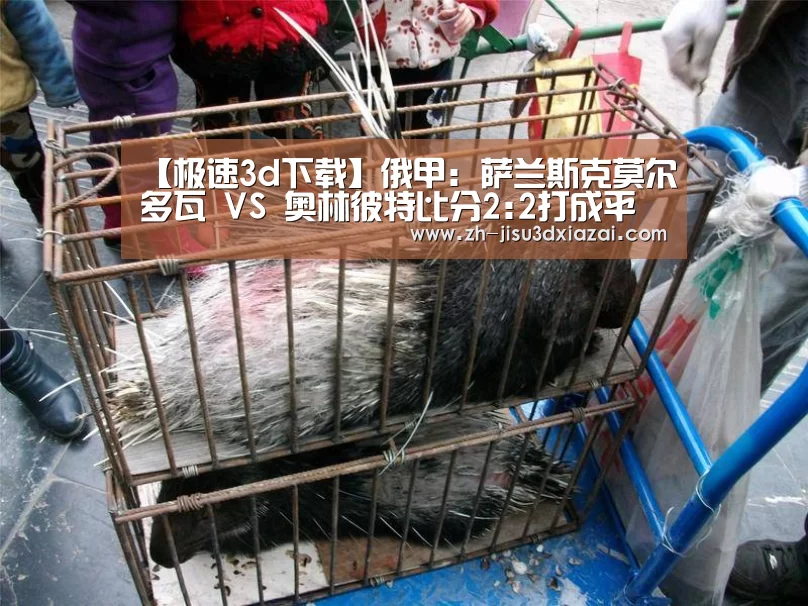 极速3d下载